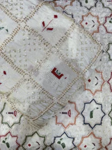 Tissue Patola fabric