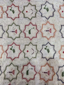 Tissue Patola fabric